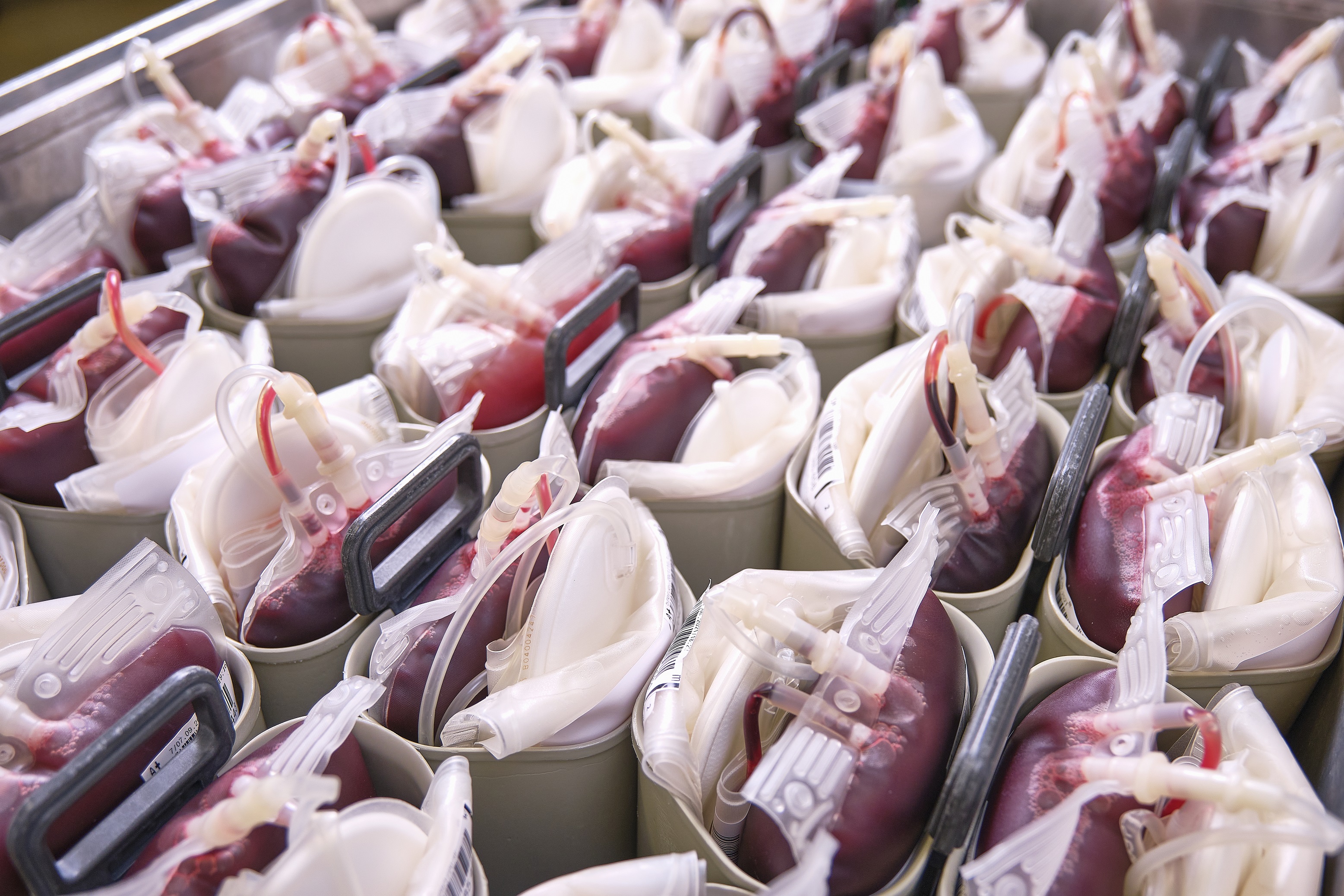 Jetzt Blut spenden und gemeinsam die Versorgung im Sommer sicher