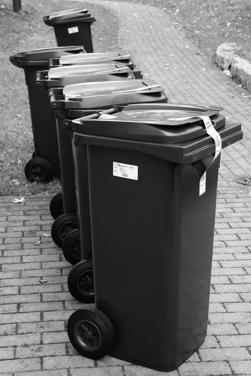 Auslieferung der Bio-Pflichttonne